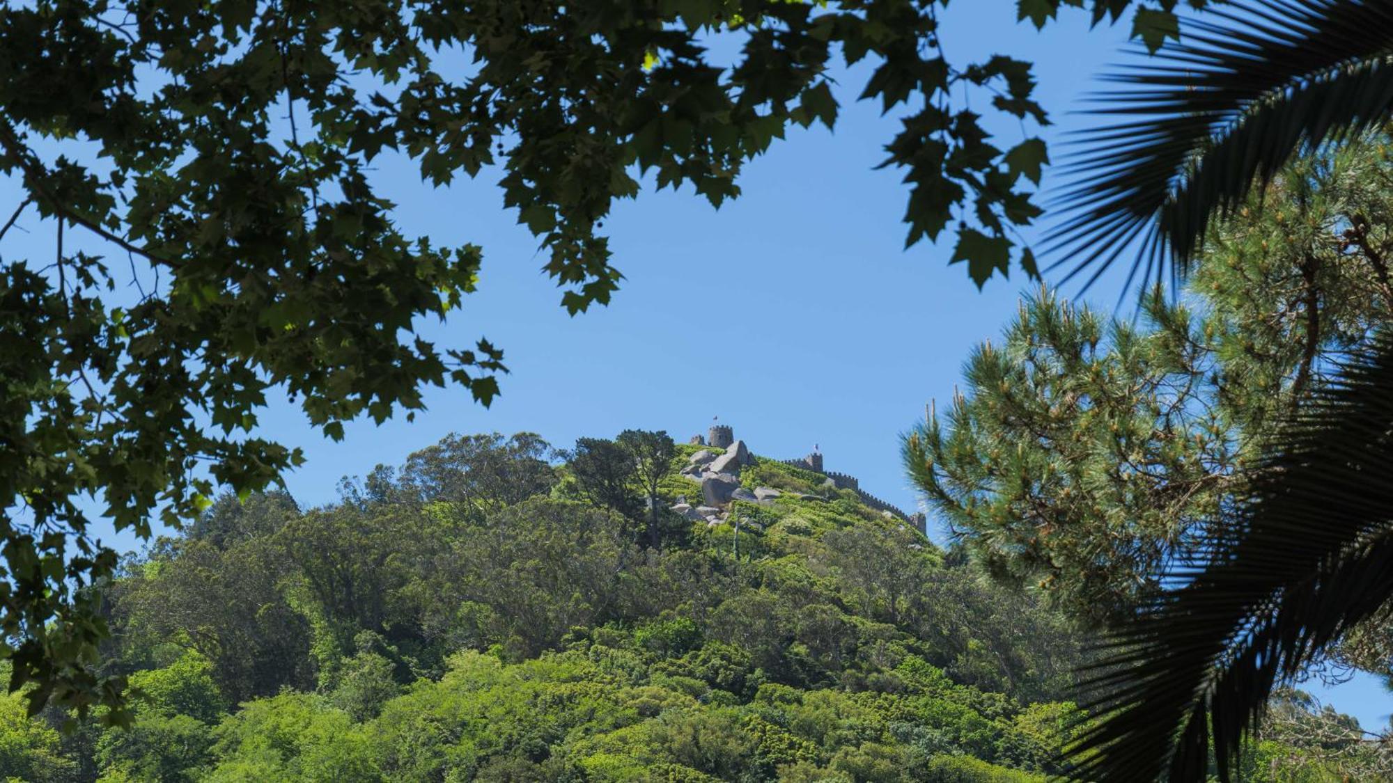Luxurious Royal Estate In Historic Sintra Paradise Luaran gambar